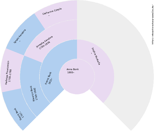 Fächerdiagramm von Anna Bonk