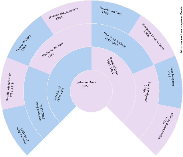 Fächerdiagramm von Johanna Bonk