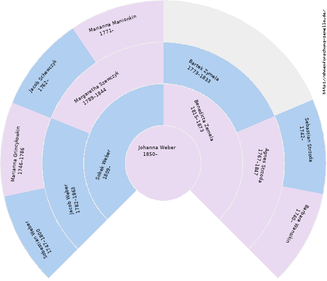 Fächerdiagramm von Johanna Weber