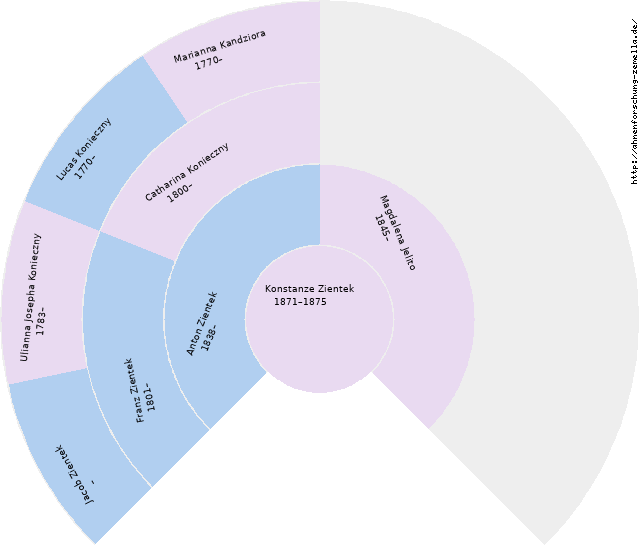Fächerdiagramm von Konstanze Zientek