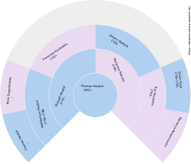 Fächerdiagramm von Thomas Hayduk