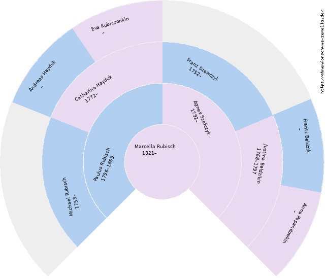 Fächerdiagramm von Marcella Rubisch