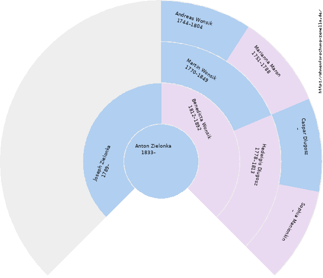 Fächerdiagramm von Anton Zielonka