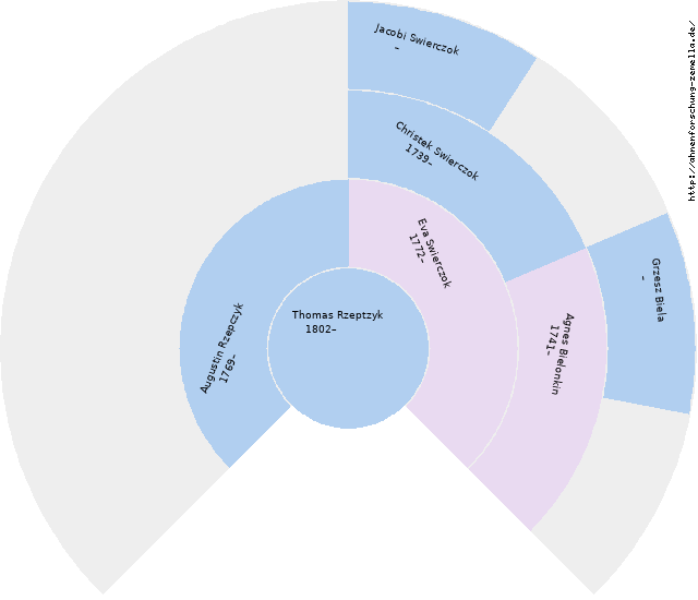 Fächerdiagramm von Thomas Rzeptzyk