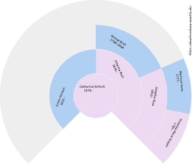 Fächerdiagramm von Catharina Kolloch