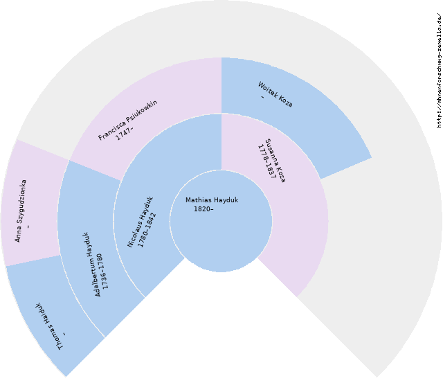Fächerdiagramm von Mathias Hayduk