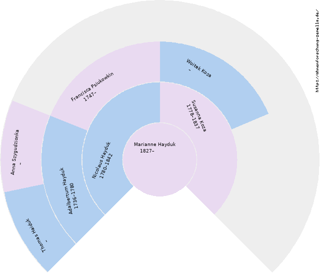 Fächerdiagramm von Marianne Hayduk