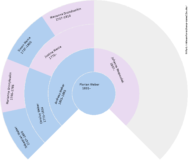 Fächerdiagramm von Florian Weber