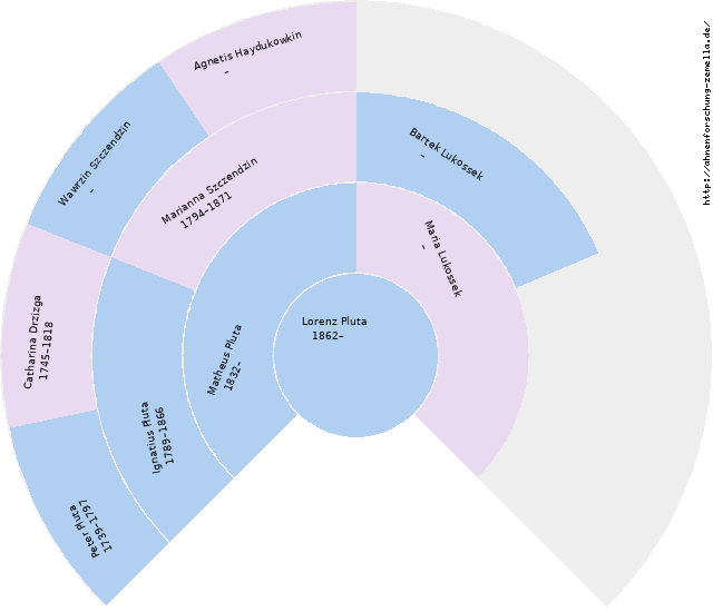 Fächerdiagramm von Lorenz Pluta