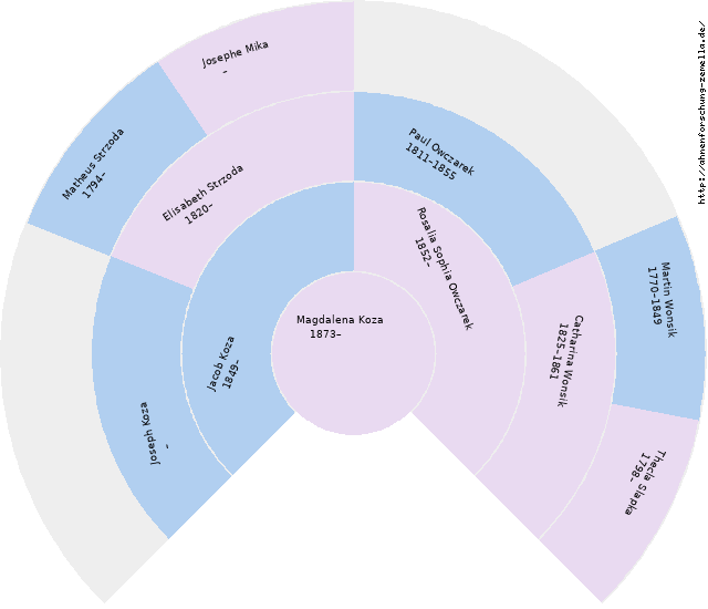 Fächerdiagramm von Magdalena Koza
