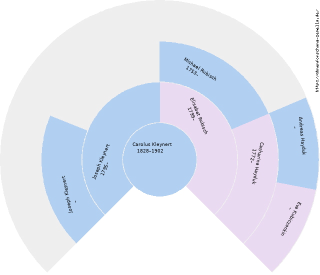Fächerdiagramm von Carolus Kleynert