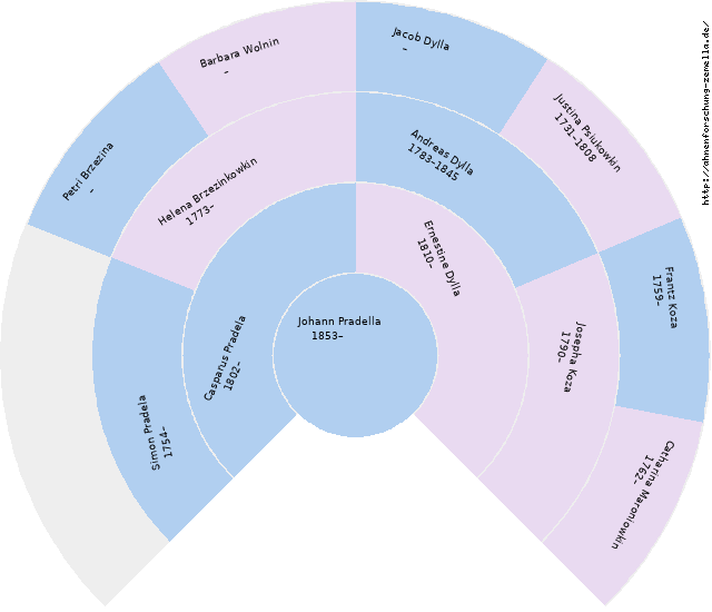 Fächerdiagramm von Johann Pradella