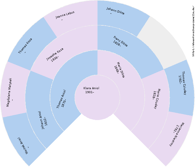 Fächerdiagramm von Klara Aniol