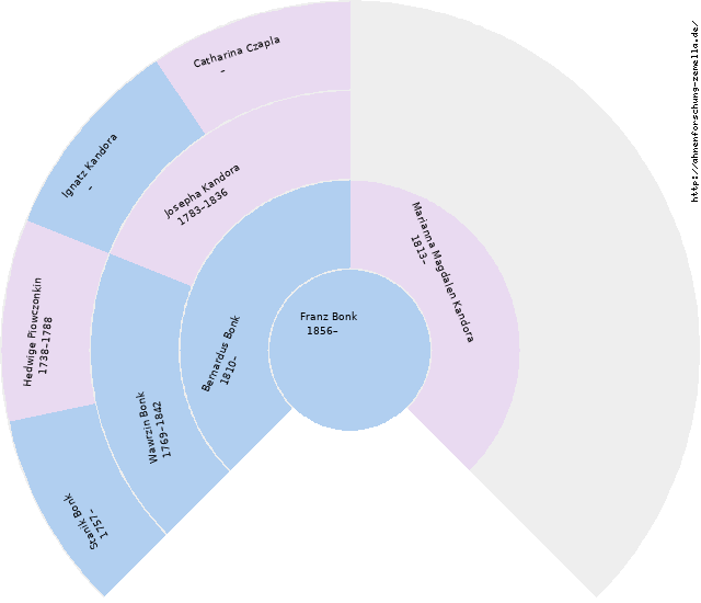 Fächerdiagramm von Franz Bonk