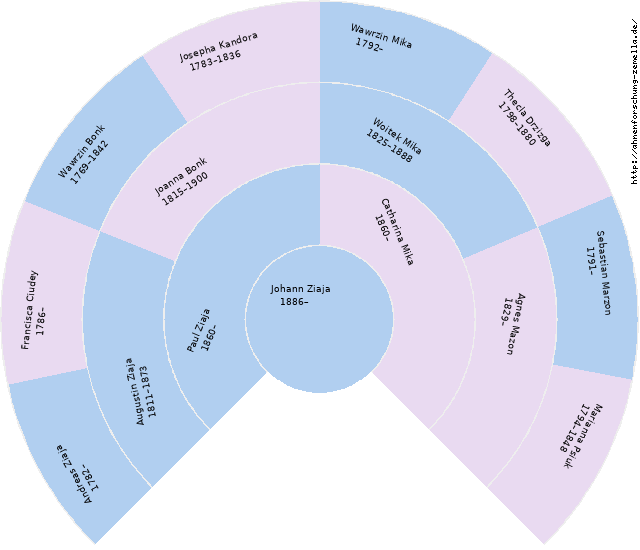 Fächerdiagramm von Johann Ziaja