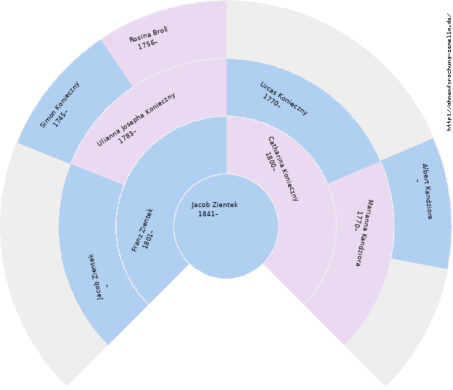 Fächerdiagramm von Jacob Zientek