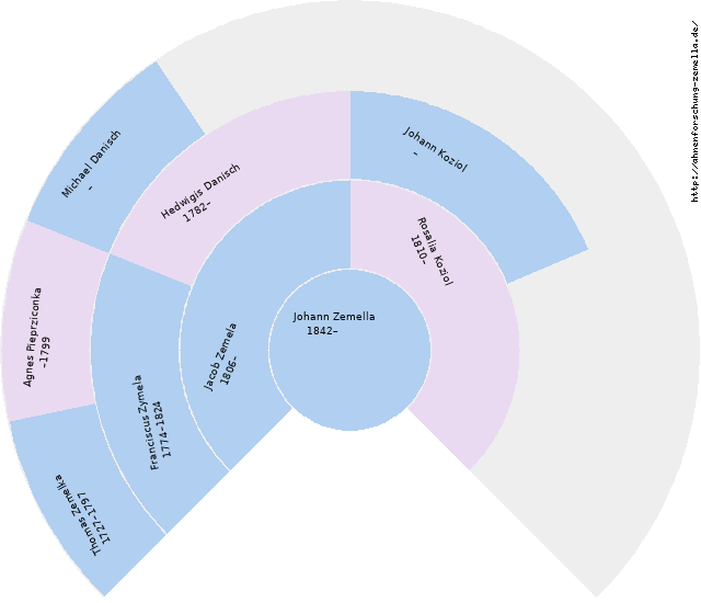 Fächerdiagramm von Johann Zemella