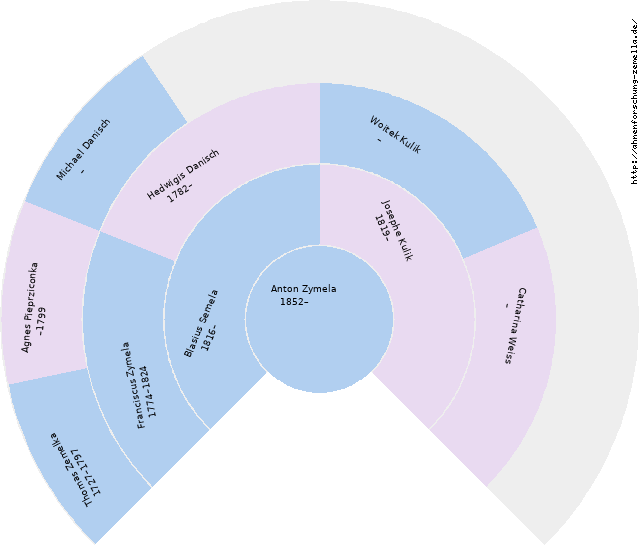 Fächerdiagramm von Anton Zymela