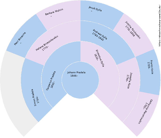 Fächerdiagramm von Johann Pradela
