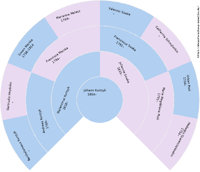 Fächerdiagramm von Johann Kurtzyk