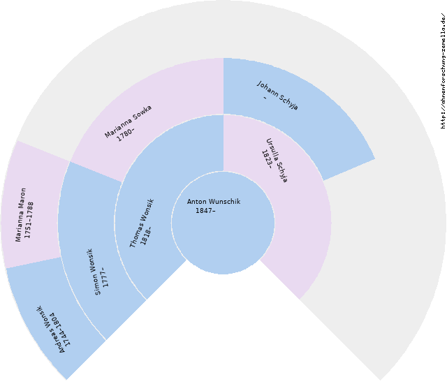 Fächerdiagramm von Anton Wunschik