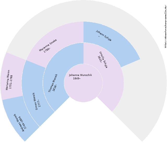 Fächerdiagramm von Johanna Wunschik