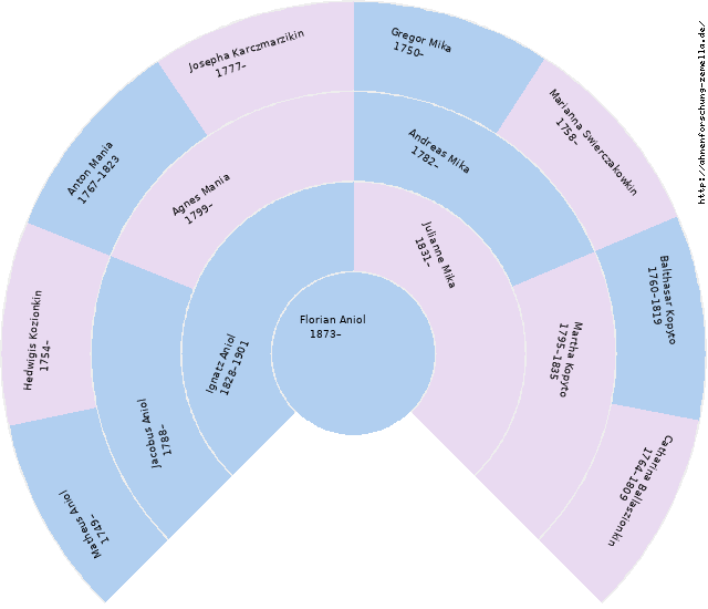 Fächerdiagramm von Florian Aniol